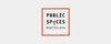 Sinus speaks at Public Spaces in Bratislava